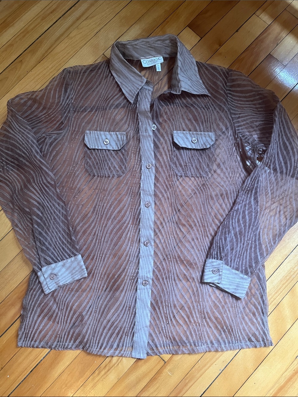 Sheer Button-Up Shirt